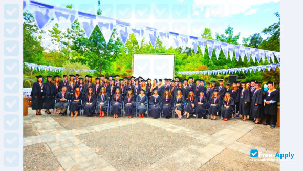 University of New York Tirana