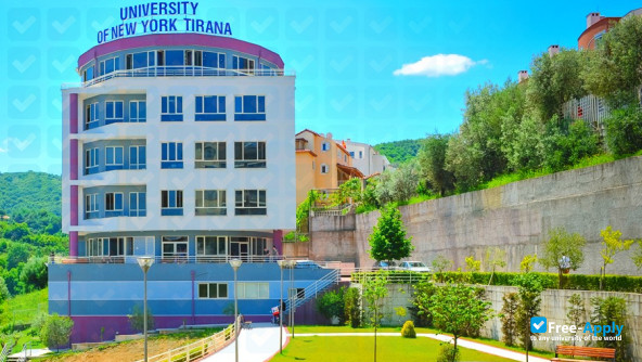 University of New York Tirana фотография №6