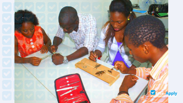 Methodist University of Angola photo #9