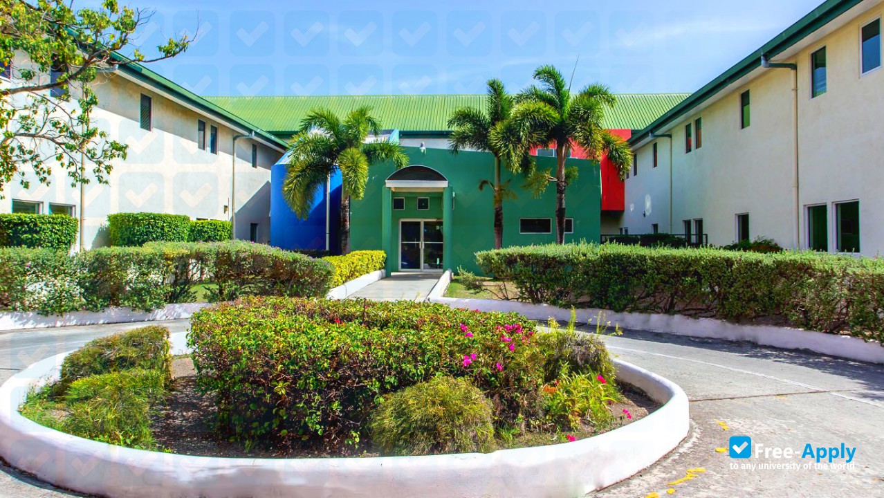 Antigua and Barbuda International Institute of Technology photo