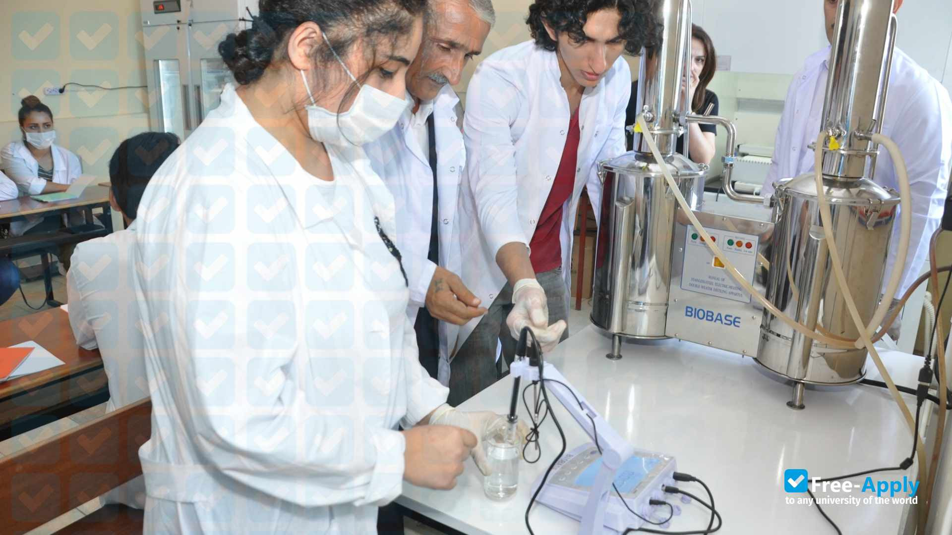 Foto de la Lankaran State University #16