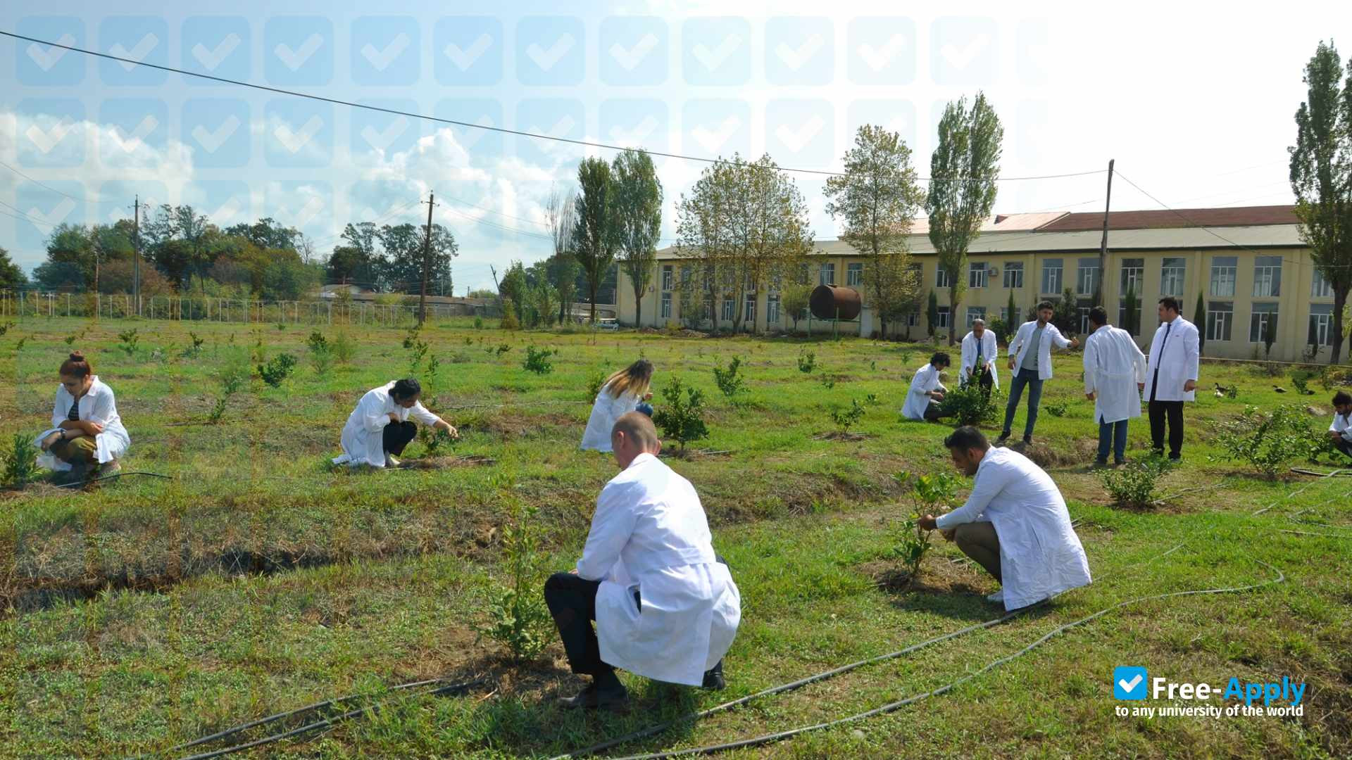 Lankaran State University фотография №13