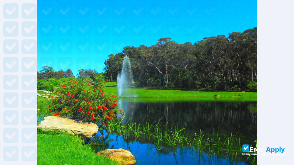 Macquarie University фотография №5