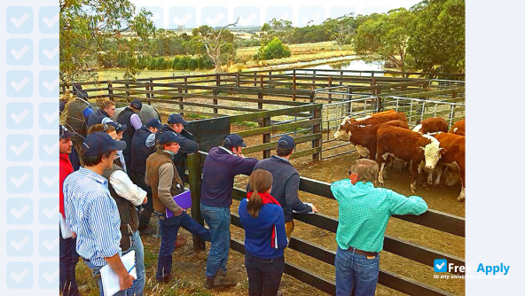 Photo de l’Marcus Oldham College #3