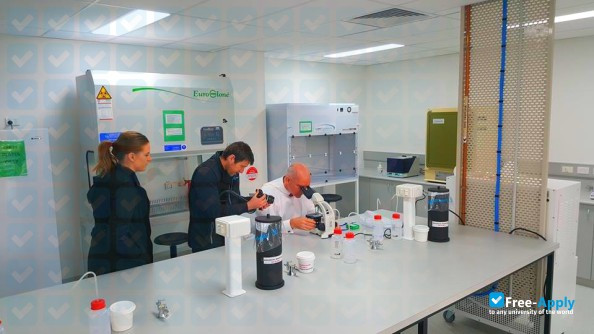 Box Hill Institute photo #4