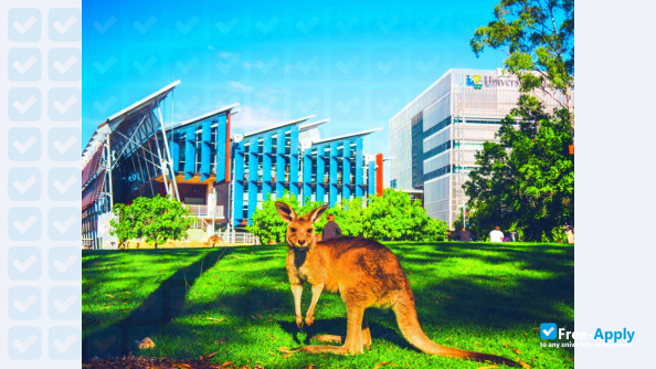 University of the Sunshine Coast photo #3