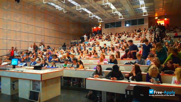 Medical University of Vienna photo #8