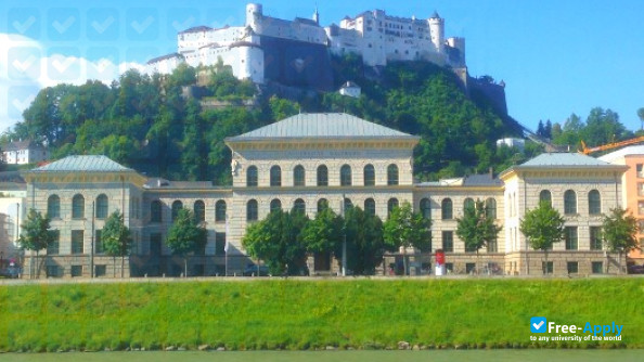 Research Fellowship at University of Salzburg in Austria, 2019