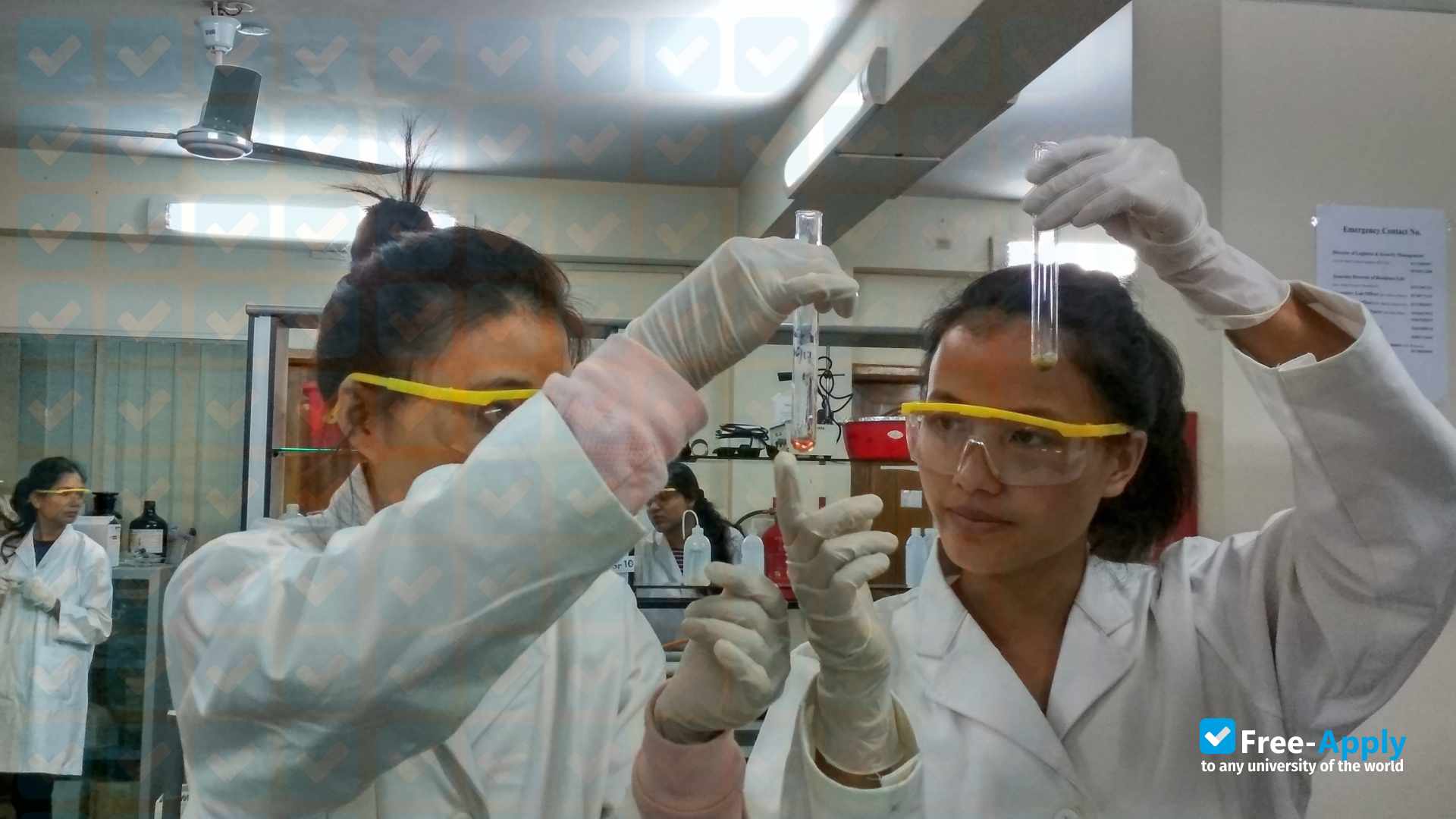 Photo de l’Asian University for Women #3