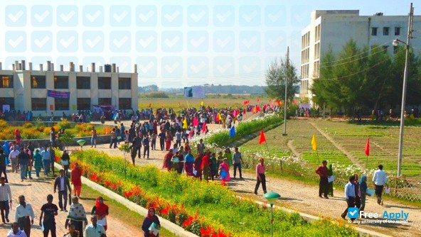 Noakhali Science and Technology University photo #3