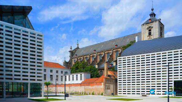College of Europe фотография №6