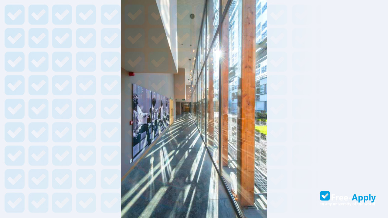 Queen Elisabeth Music Chapel photo #10