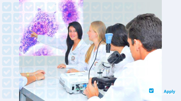 Latin American Private Open University photo #6