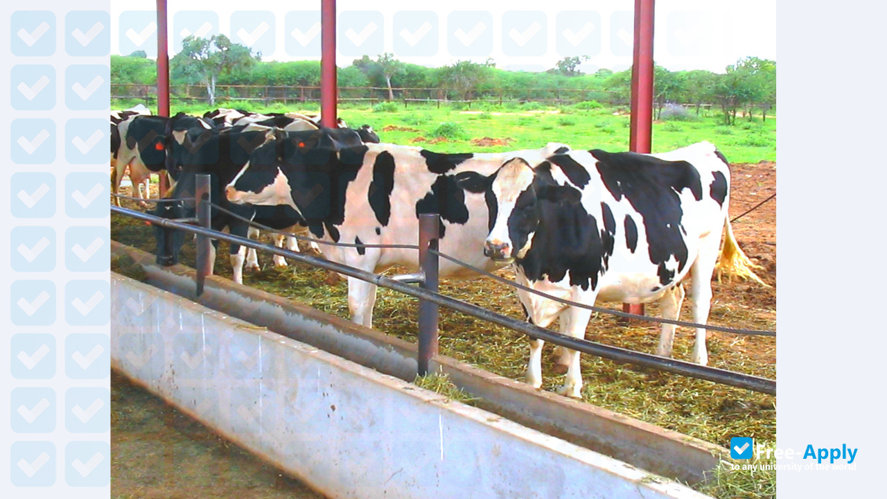 Photo de l’Botswana College of Agriculture #11