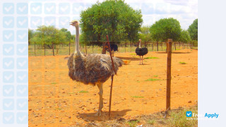 Botswana College of Agriculture thumbnail #3