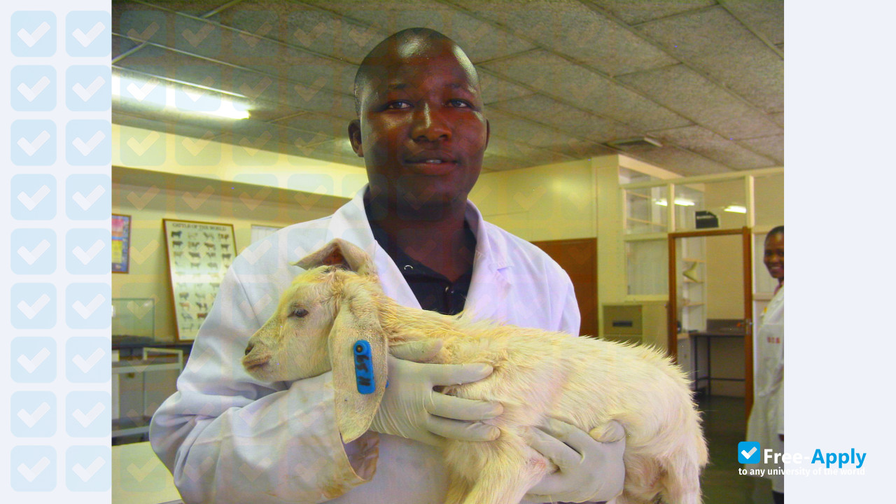Photo de l’Botswana College of Agriculture #5