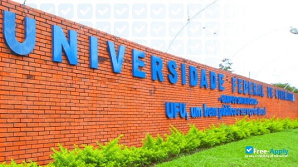 Foto de la Federal University of Uberlândia #6