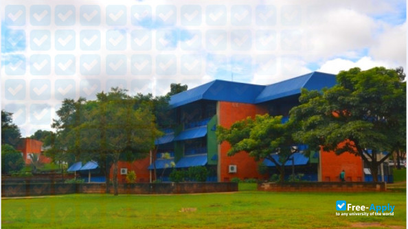 Federal University of Uberlândia photo #11