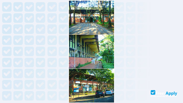 Federal University of Uberlândia photo #12