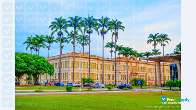 Photo de l’Federal University of Viçosa #2