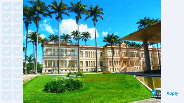 Federal University of Viçosa фотография №6