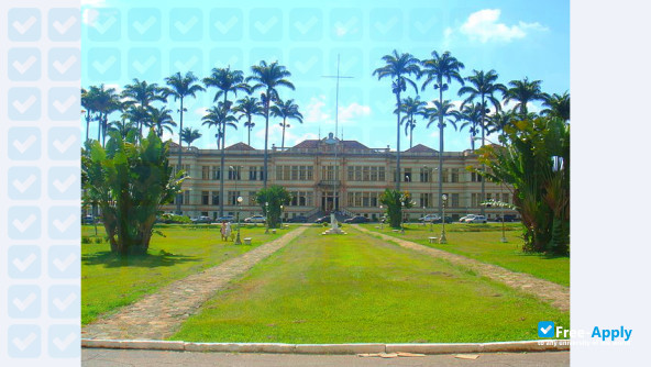 Federal University of Viçosa фотография №1
