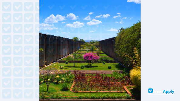 University of Brasília фотография №9