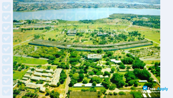 University of Brasília фотография №7