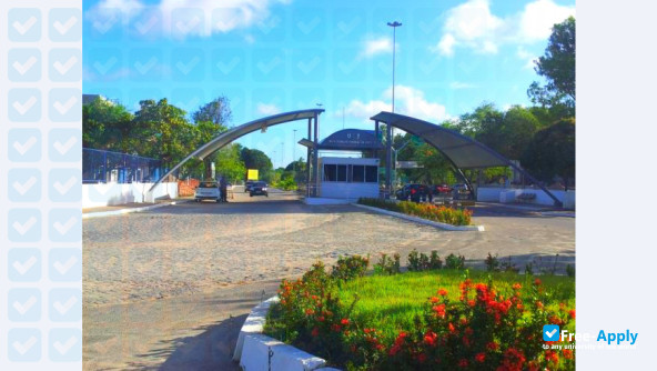 Federal University of Sergipe фотография №8