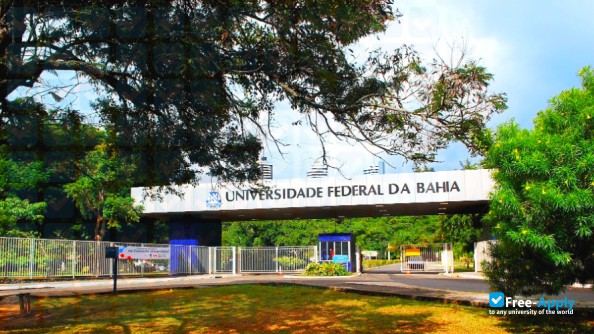 Photo de l’Federal University of Bahia #8