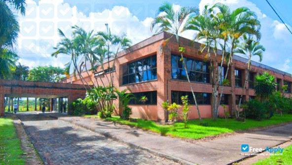 Photo de l’Federal University of Bahia #9