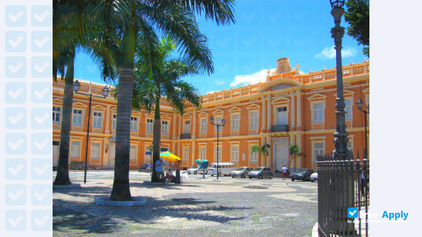 Federal University of Bahia фотография №10