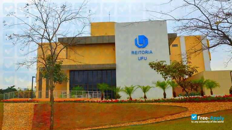 Federal University of Uberlândia photo #11