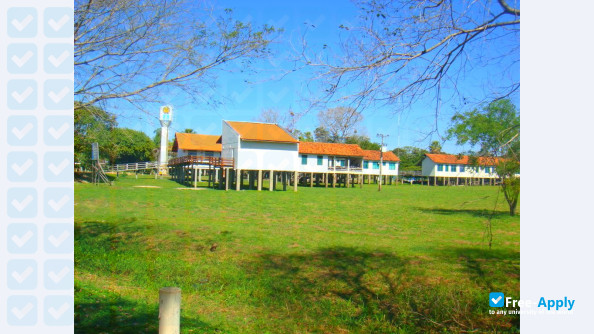 Federal University of Mato Grosso photo #6