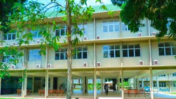 Federal University of Amazonas photo #1