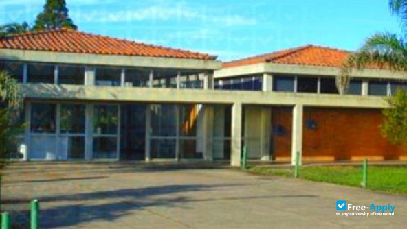 Foto de la Federal University of Ouro Prêto #8