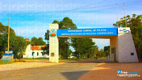 Federal University of Pelotas фотография №4
