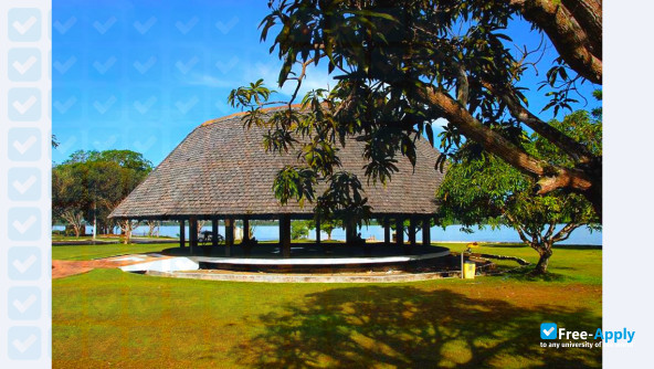 Federal University of Pará (UFPA) photo
