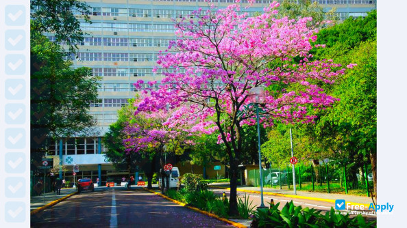 Federal University of Rio Grande do Sul (UFRGS) фотография №2