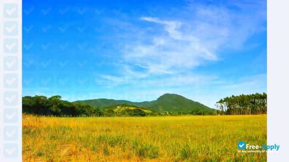 Federal University of Santa Catarina photo #9
