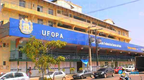 Foto de la Federal University of Western Pará (UFOPA #12