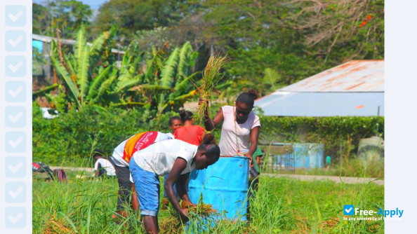 Photo de l’Solomon Islands National University #13