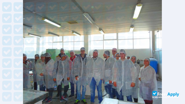 University of Food Technology фотография №7