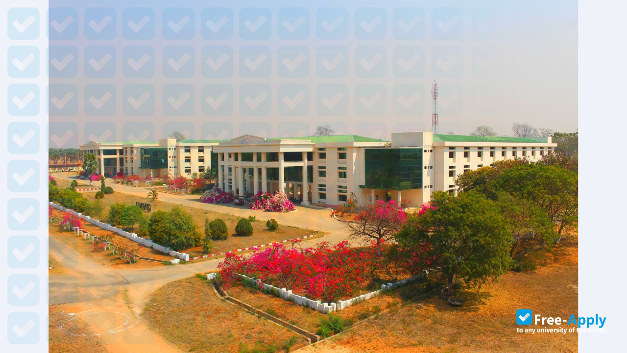 University of Medicine, Magway photo #4