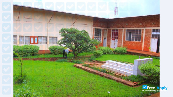 Ngozi University photo #3