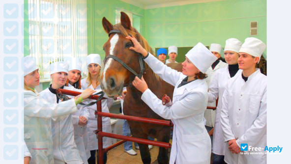 Vitebsk State Academy of Veterinary Medicine photo