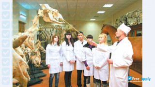 Vitebsk State Academy of Veterinary Medicine thumbnail #8