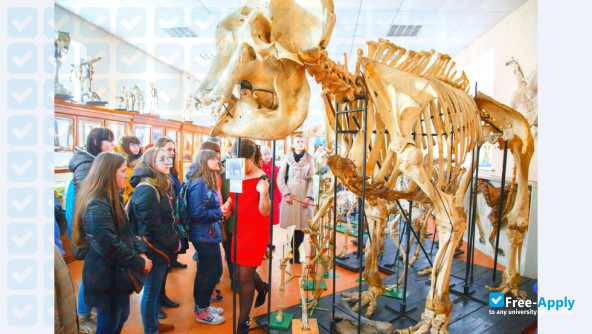 Photo de l’Vitebsk State Academy of Veterinary Medicine #2