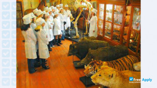 Vitebsk State Academy of Veterinary Medicine thumbnail #9
