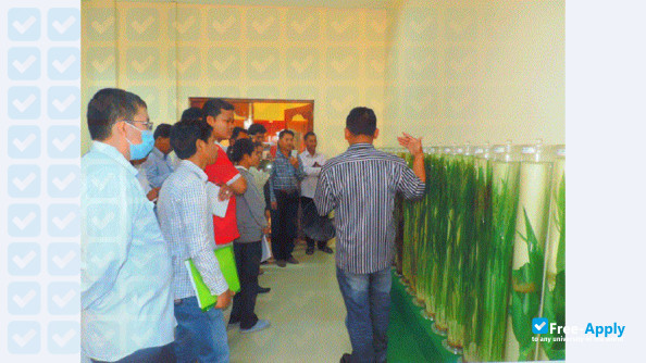 Foto de la Cambodian Agricultural Research and Development Institute #9